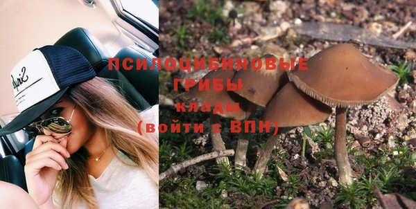 мяу мяу мука Баксан