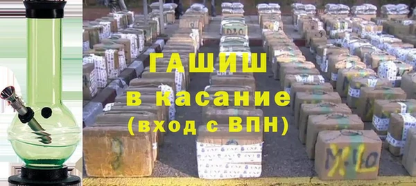 индика Горняк